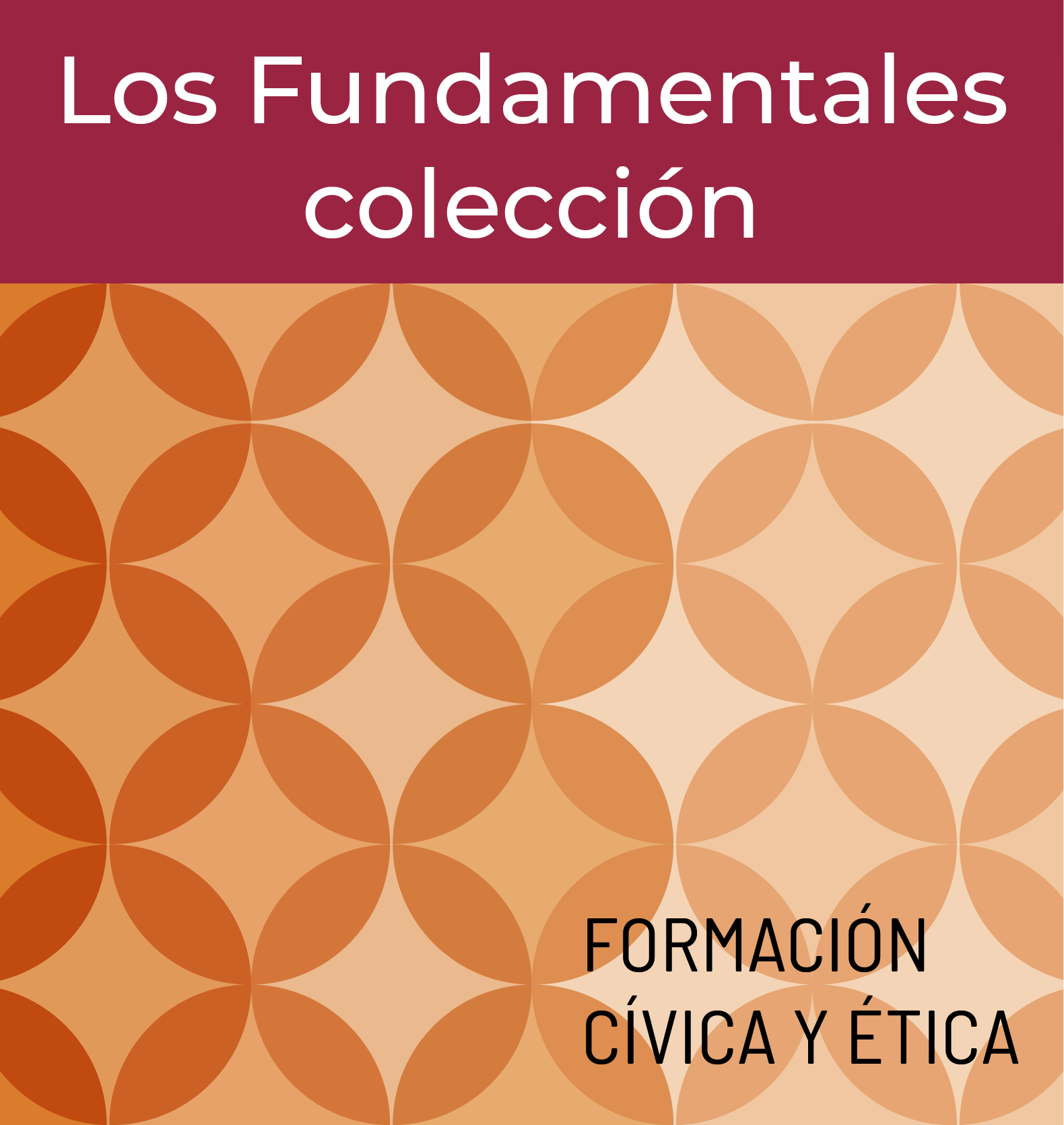 Colección de libros: Los fundamentales